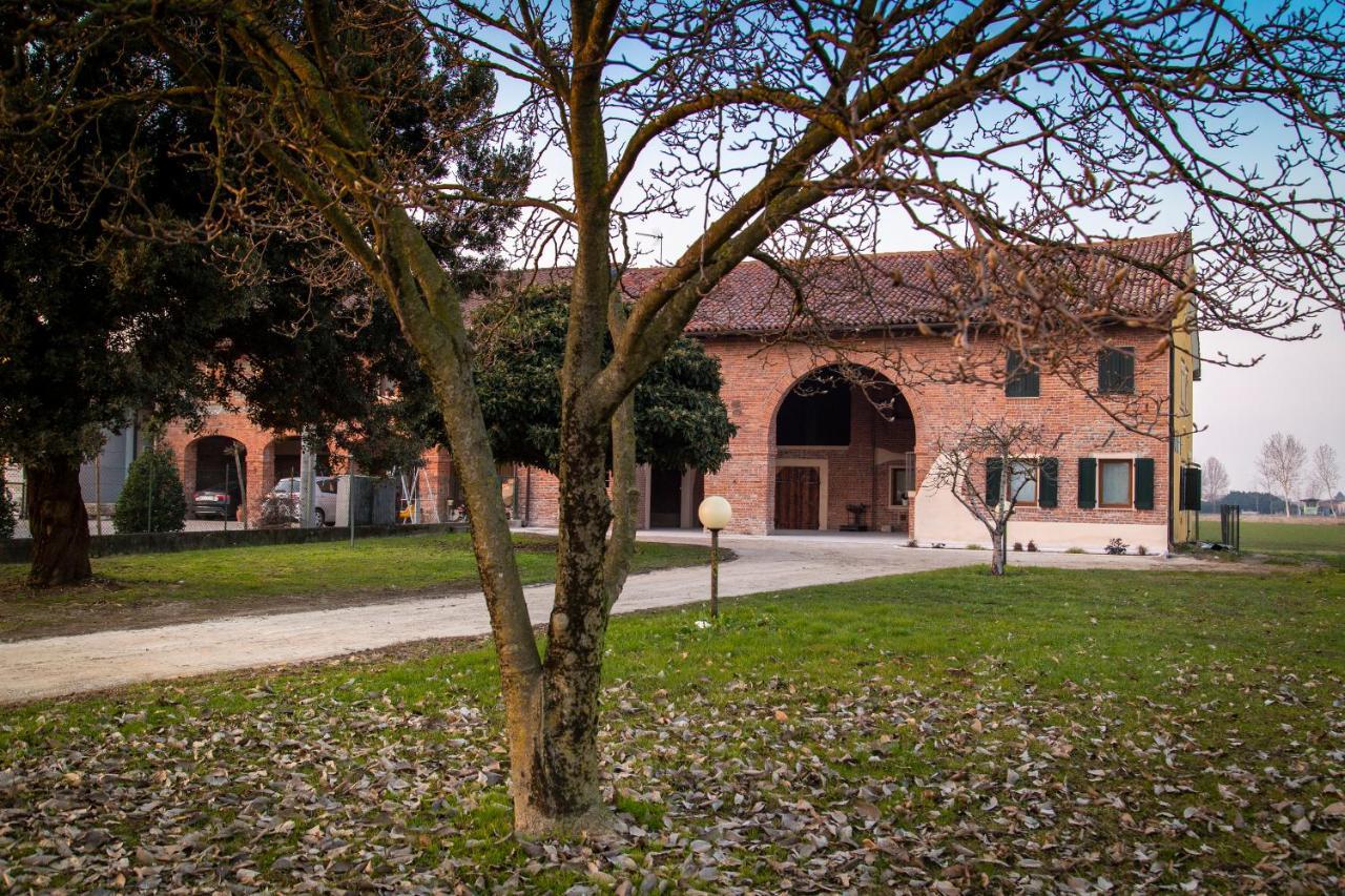 Casa Norma Piano Terra Villa San Martino di Lupari Kültér fotó